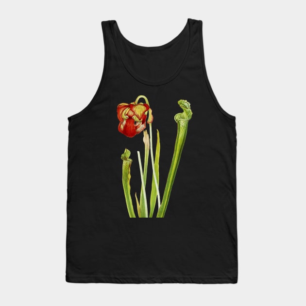 Drummond Pitcherplant - Sarracenia Drummond - Walcott - Botanical Illustration Tank Top by chimakingthings